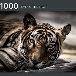 Eye-of-the-tiger-1640102566.jpg