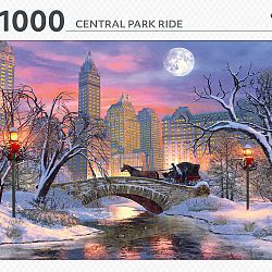 central-park-ride-1640101797.jpg
