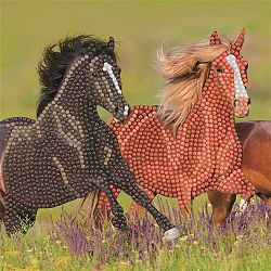 galloping-horses-18x18-1642681544.jpg