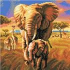 grote-olifant-ca-30-1608376495.jpg