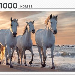 horses-1610114339.jpg