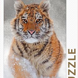 tijger-in-de-sneeuw-1640271318.jpg