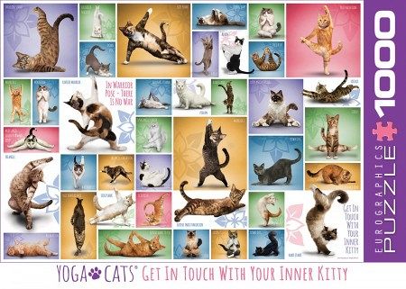yoga-cat-1609329301.jpg